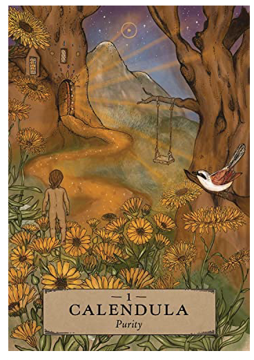 The Herbal Astrology Oracle: A 55-Card Deck and Guidebook
