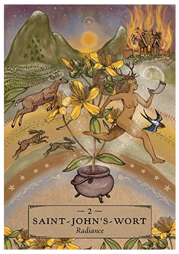 The Herbal Astrology Oracle: A 55-Card Deck and Guidebook