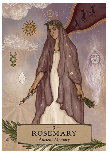 The Herbal Astrology Oracle: A 55-Card Deck and Guidebook