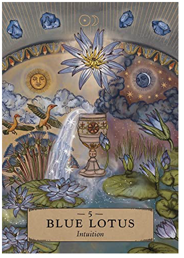 The Herbal Astrology Oracle: A 55-Card Deck and Guidebook