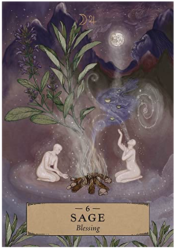 The Herbal Astrology Oracle: A 55-Card Deck and Guidebook