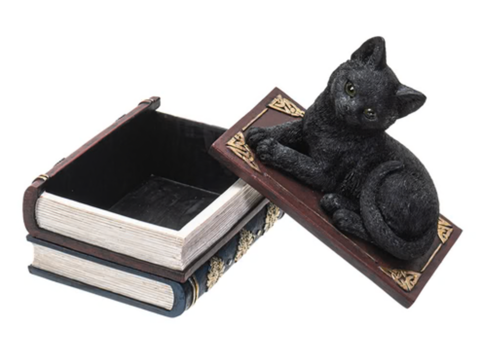 Black Cat on Spellbooks Secret Box