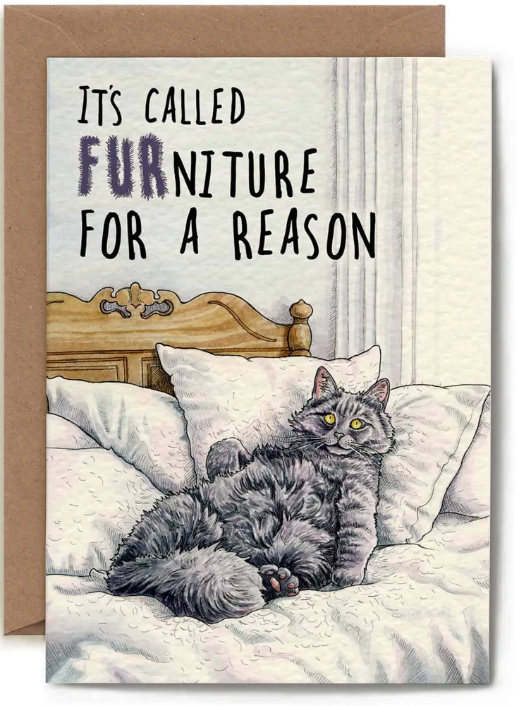 It’s called furniture for a reason - Cat