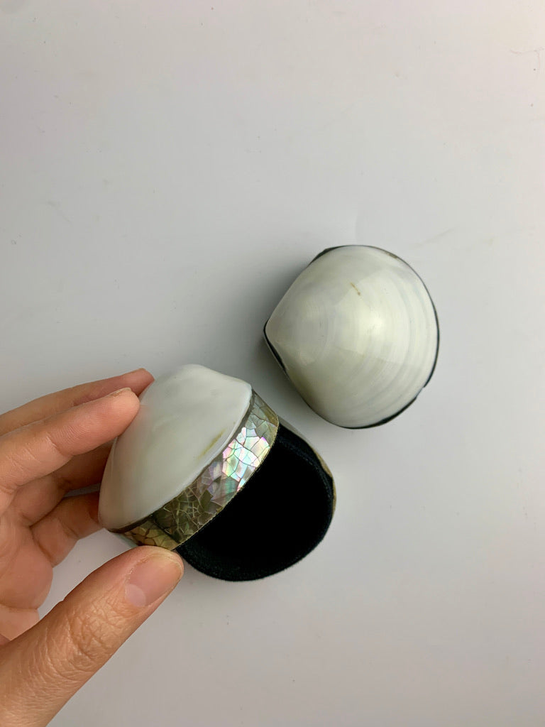 Shell Trinket Box Small