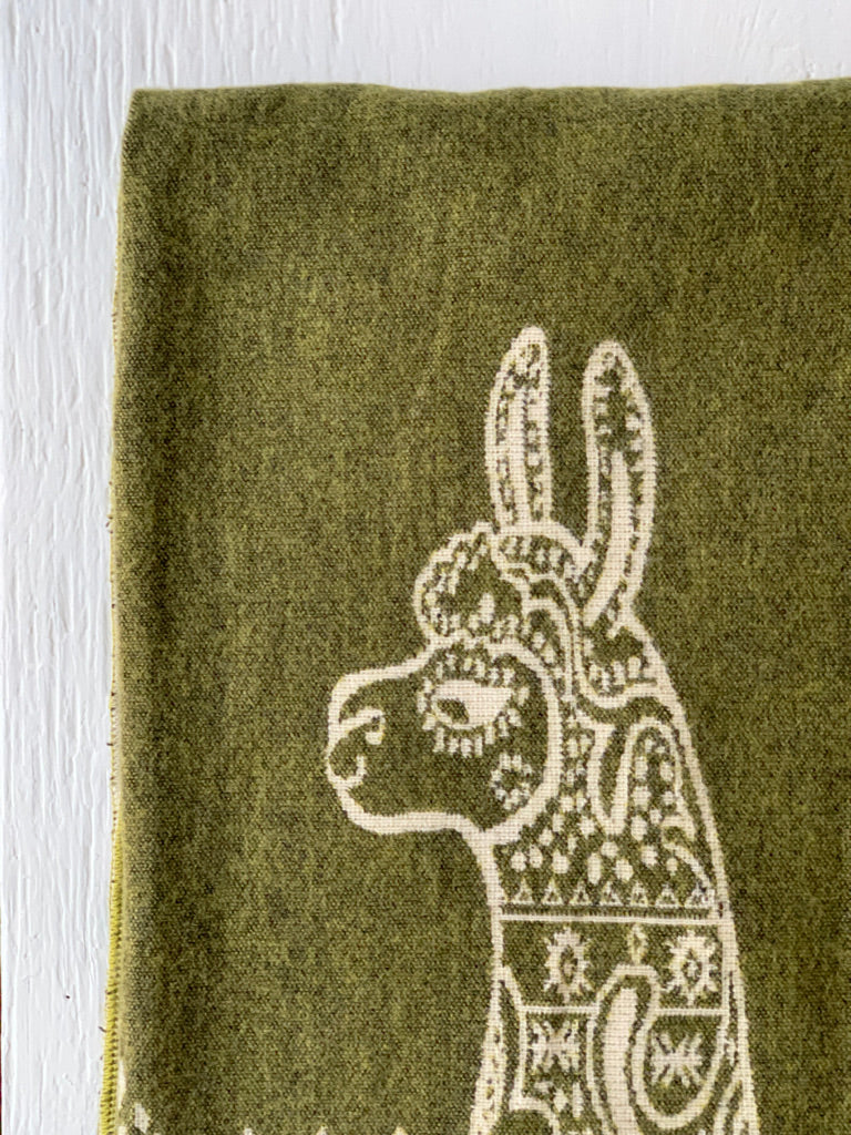 No Probllama Verde Reversible Blanket