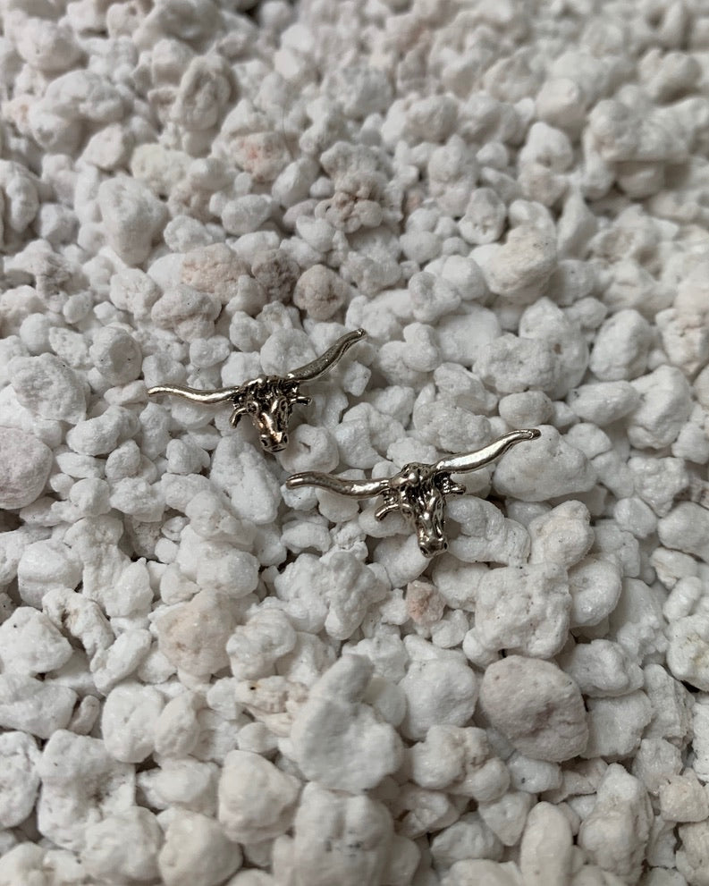 Highland Bull Skull Stud Earrings