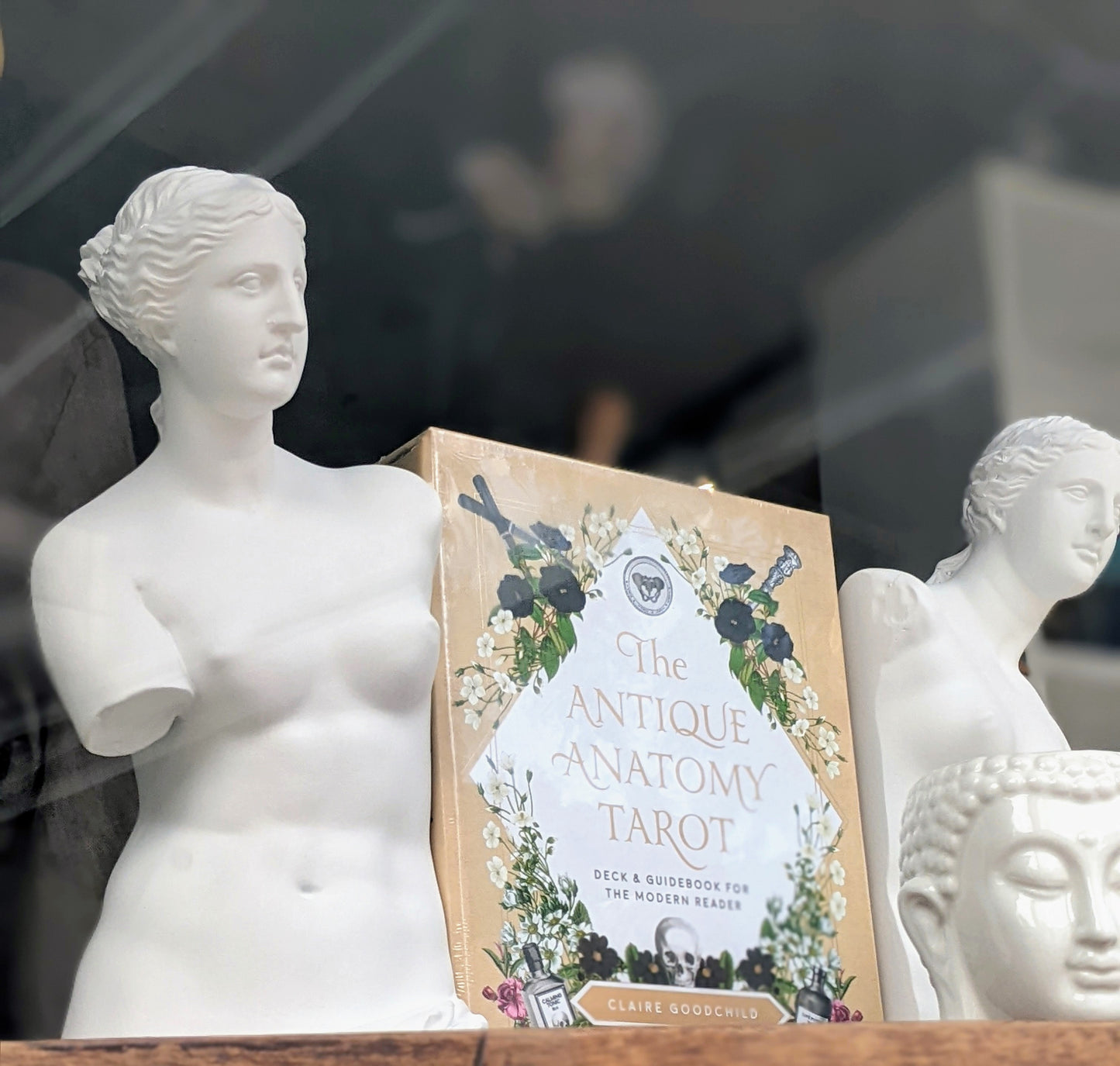 Venus de Milo Bookends