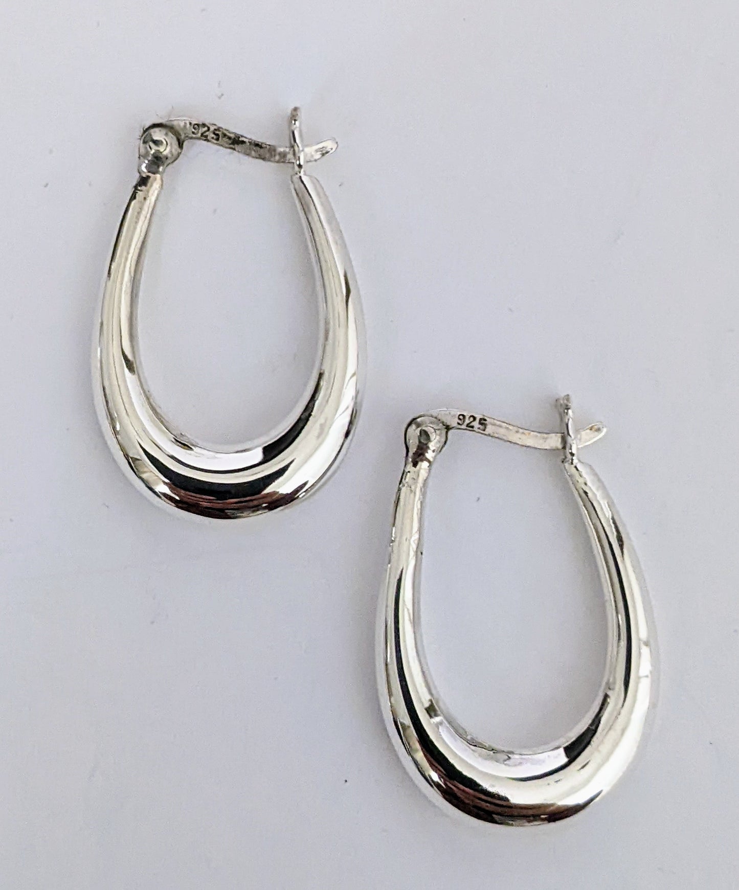Oval Hoop Earrings
