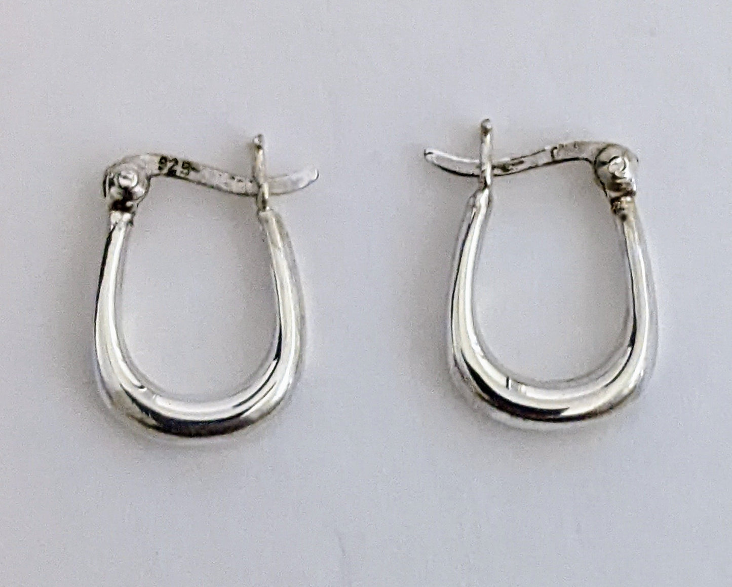 Mini Horseshoe Hoop