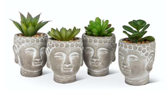 Succulent in Buddha Head Pot