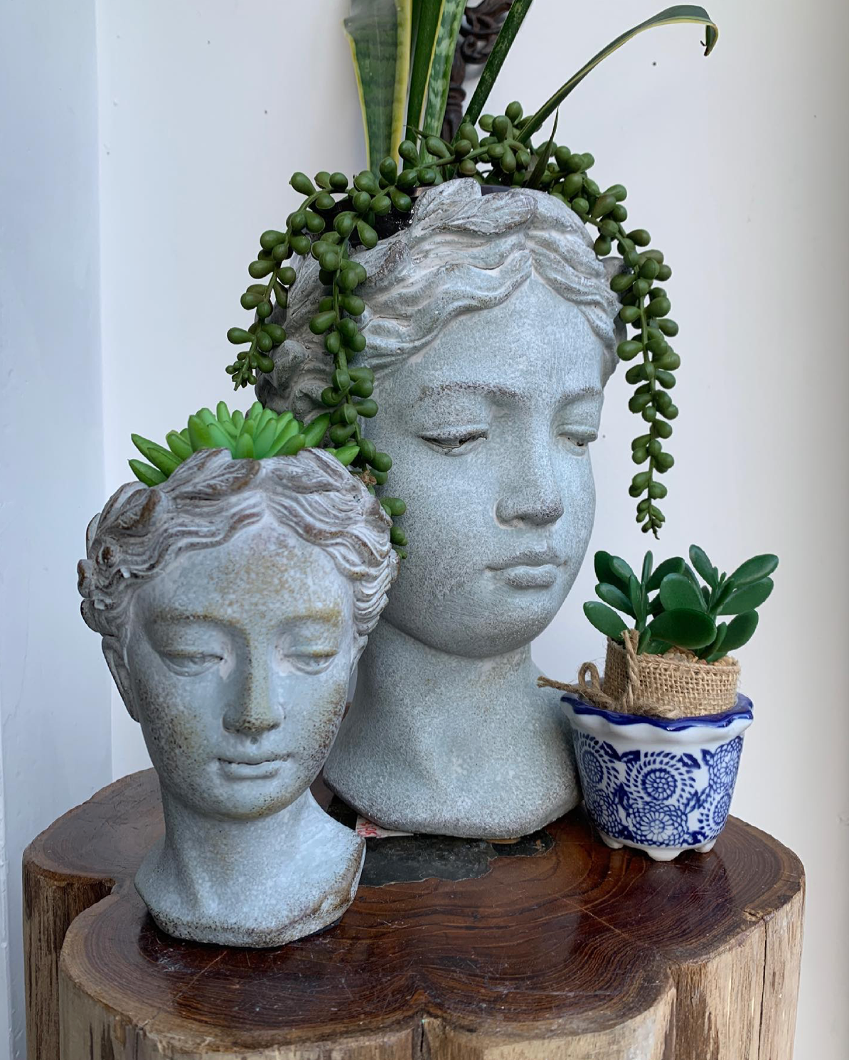 Goddess Planter Large