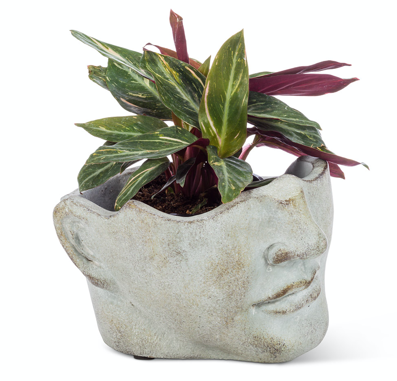 The Tilted Man Face Planter