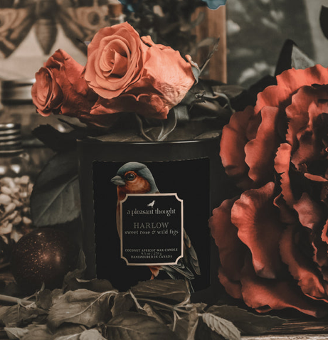 HARLOW | SWEET ROSE & WILD FIGS | RAVEN CANDLE