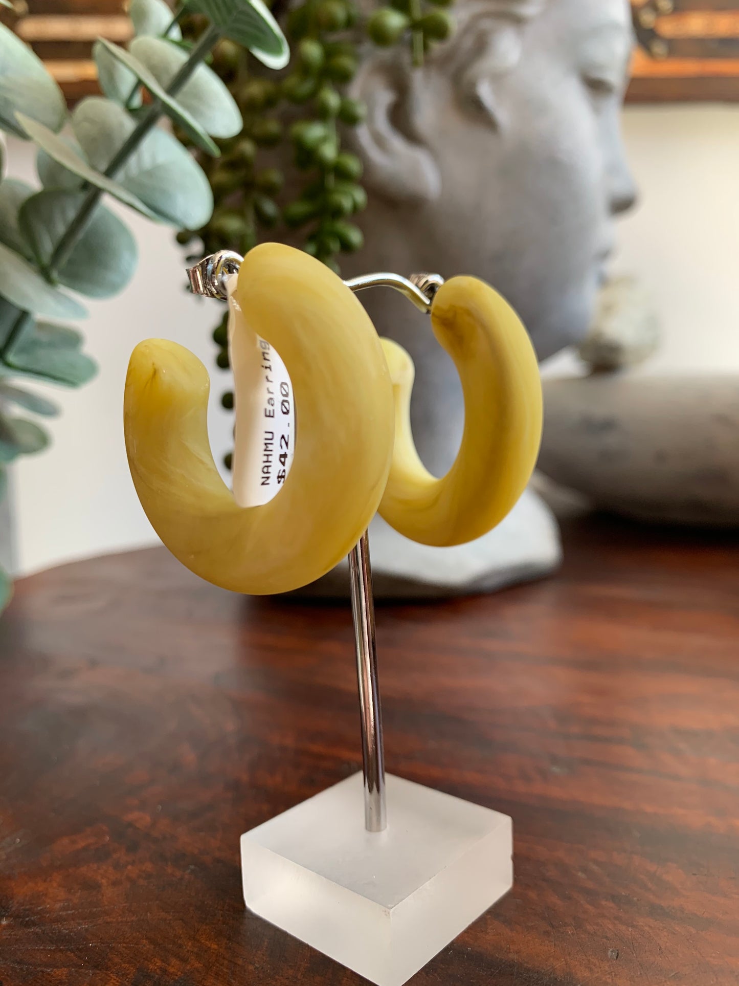 Resin Hoop Earring