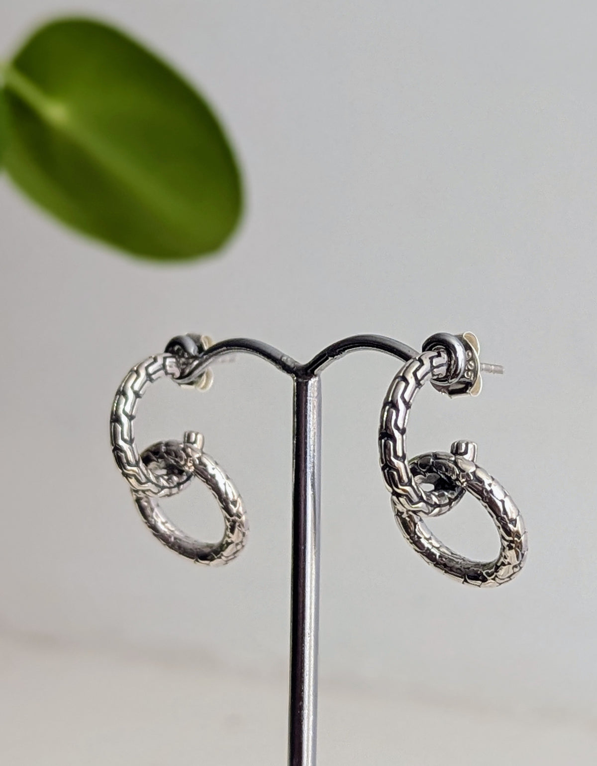Interlocking Hoops