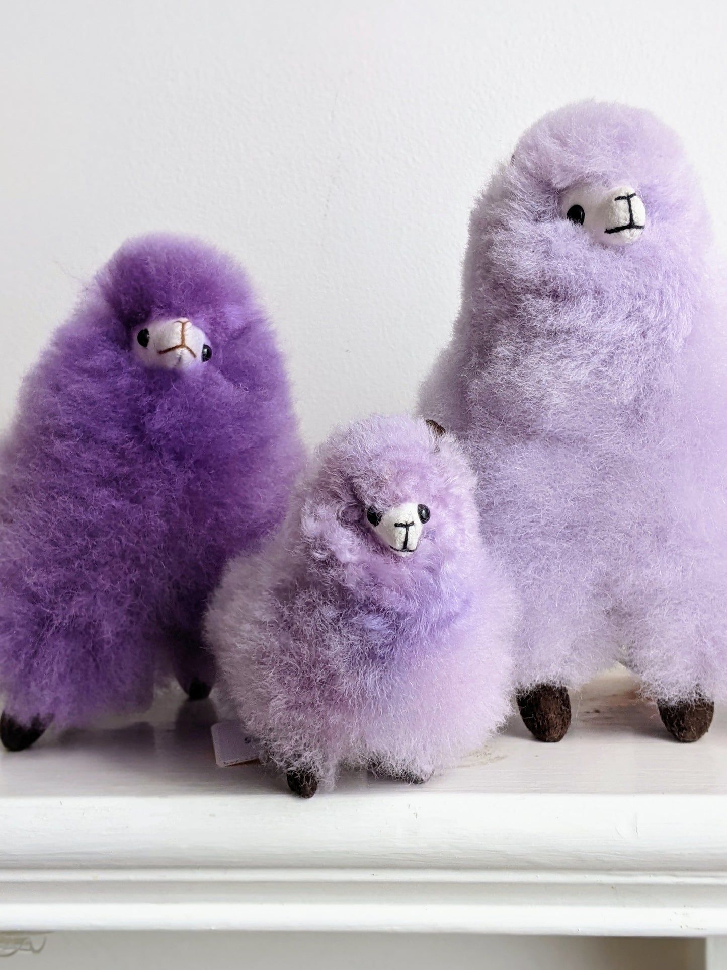 Alpaca 7"- Purple