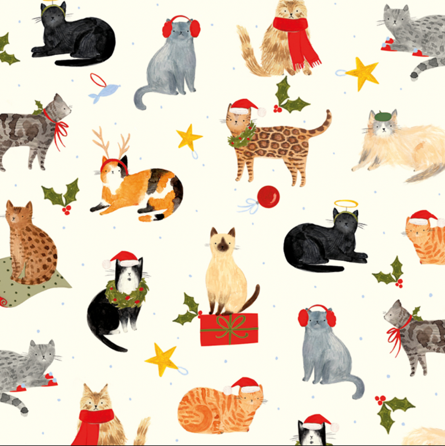 Holiday Cats- Set of 10