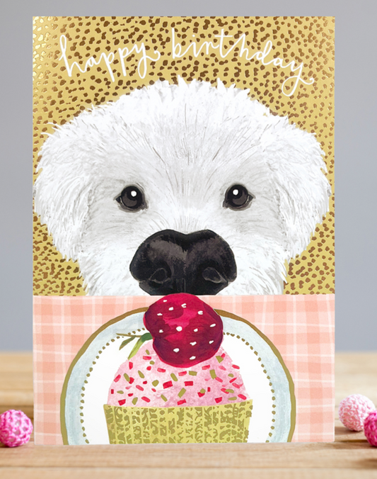 Mini paws – Happy birthday - Card