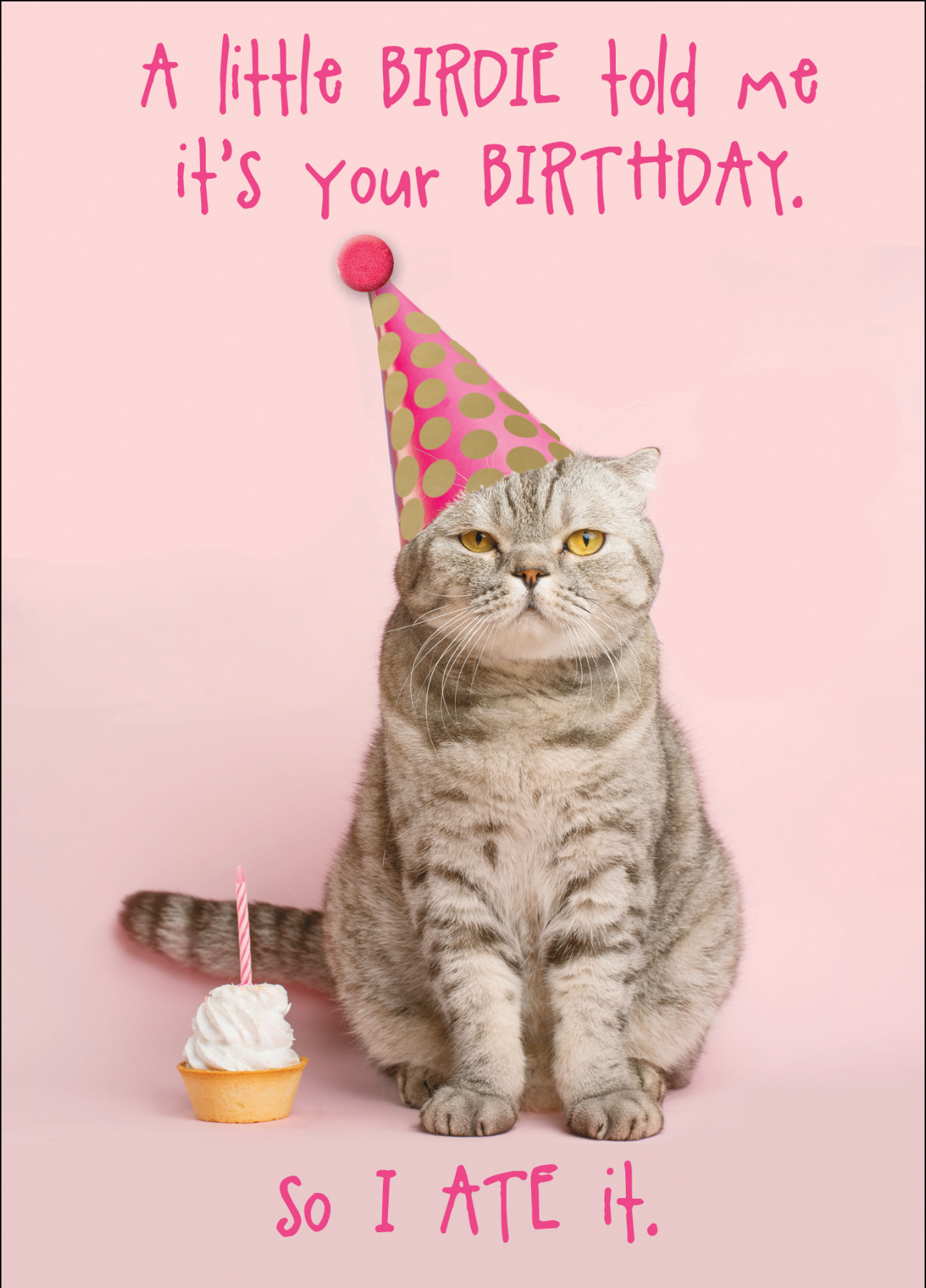 A little birdie told me it’s your birthday – Cat Card