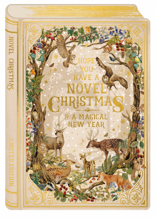 Storybook Christmas – Hope you have a novel Christmas & a magical New Year