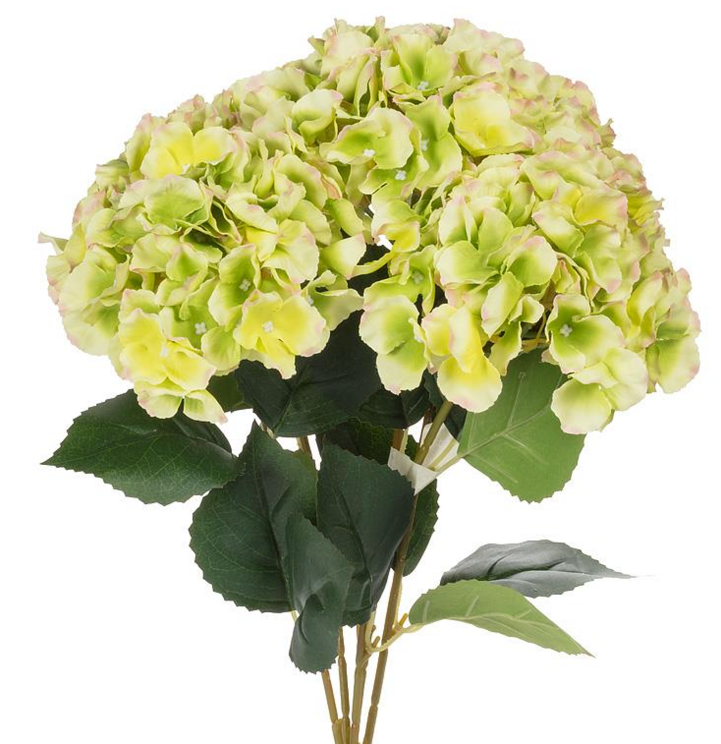 5 Stem Hydrangea Bouquet Green