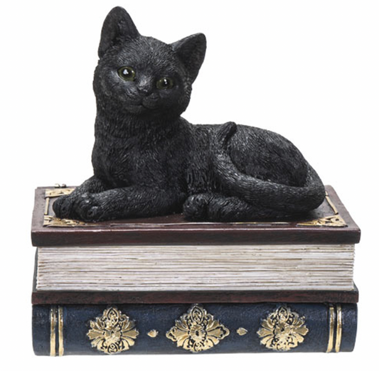 Black Cat on Spellbooks Secret Box