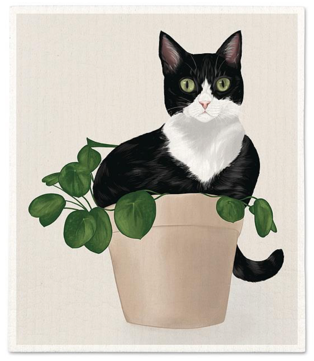 Cat in a Plant Dishcloth