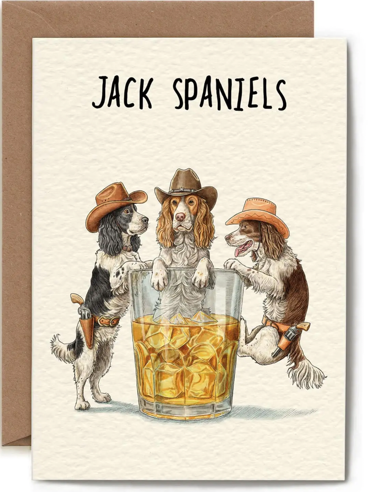 Jack spaniels - Dogs