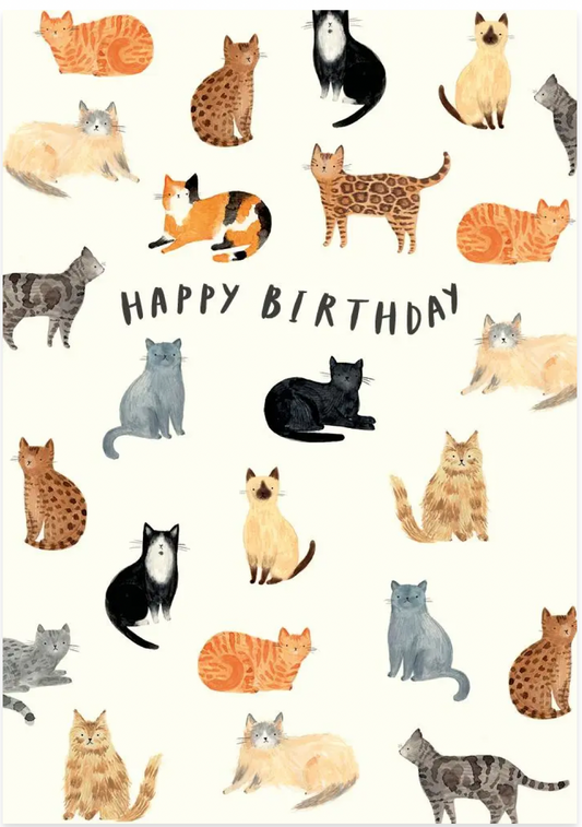 Happy birthday - Cats