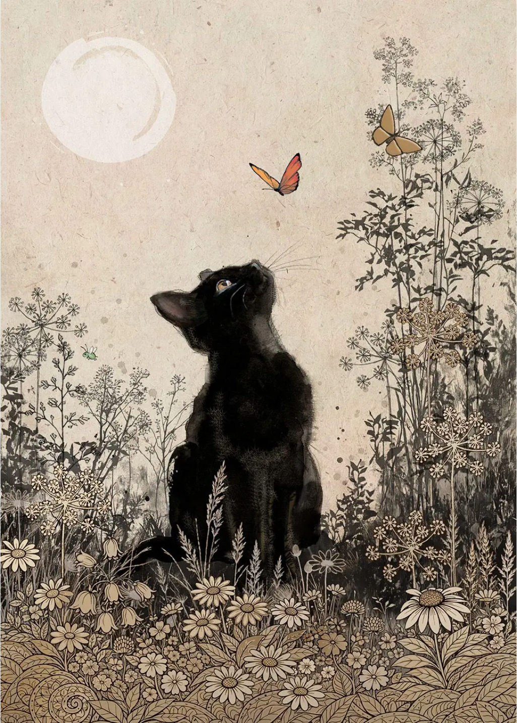 Cat in Butterfly Wonder