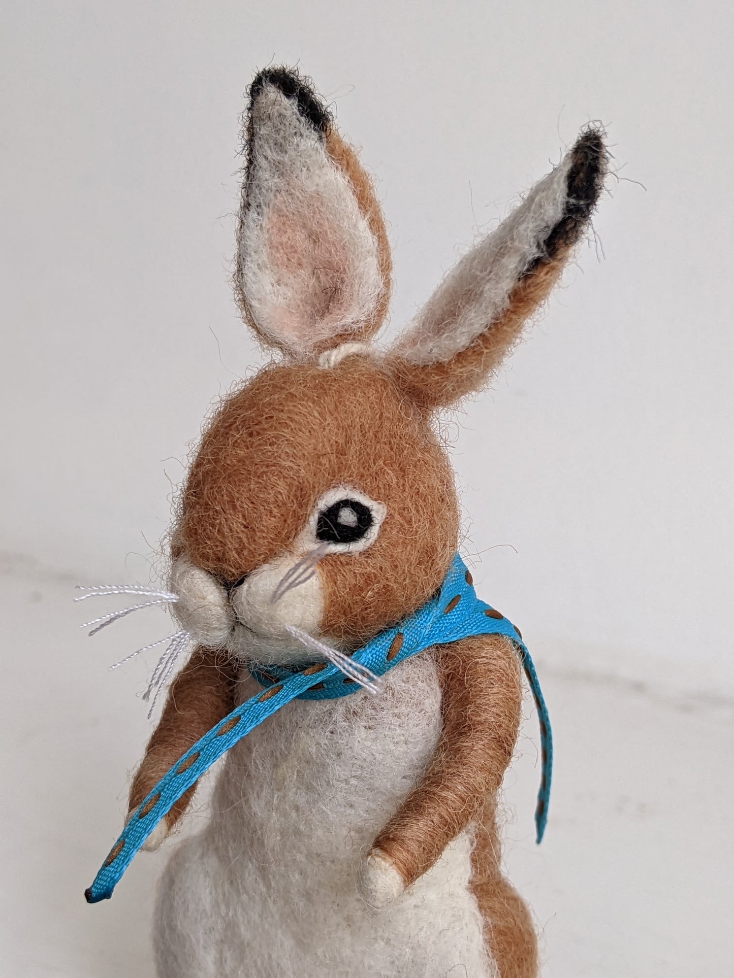 Peter the Rabbit Ornament