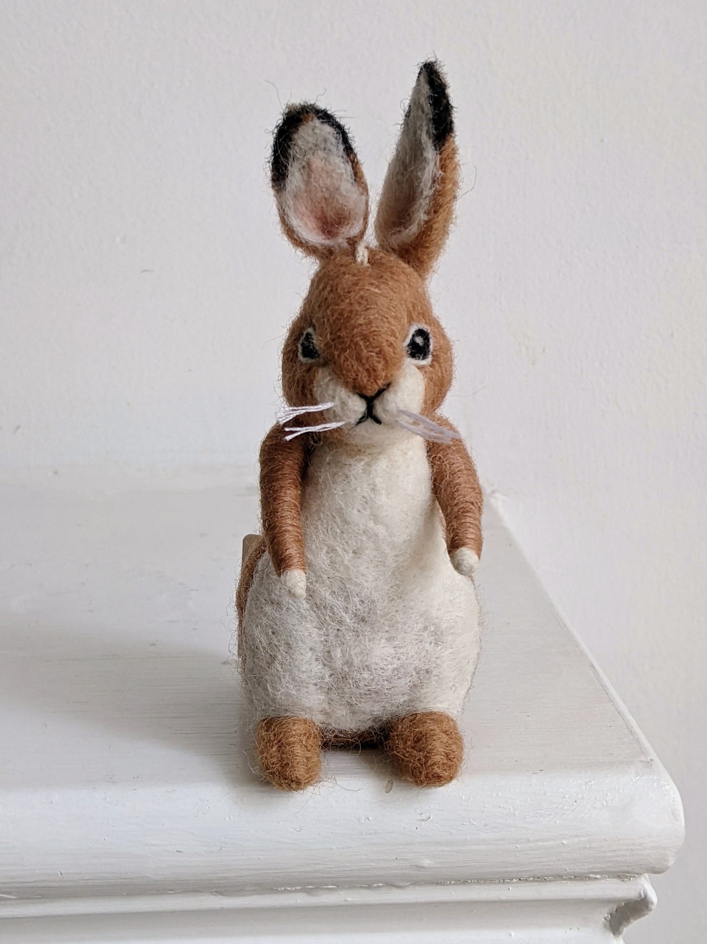 Peter the Rabbit Ornament