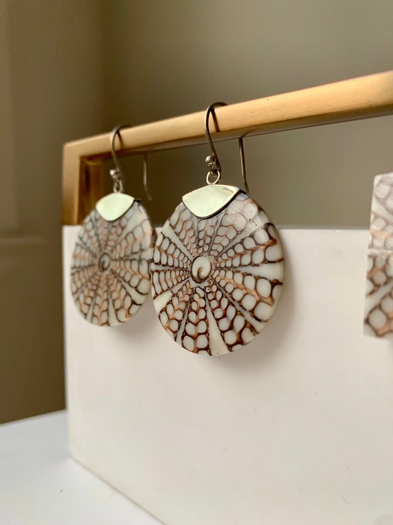 Cut Shell and Silver Earrings