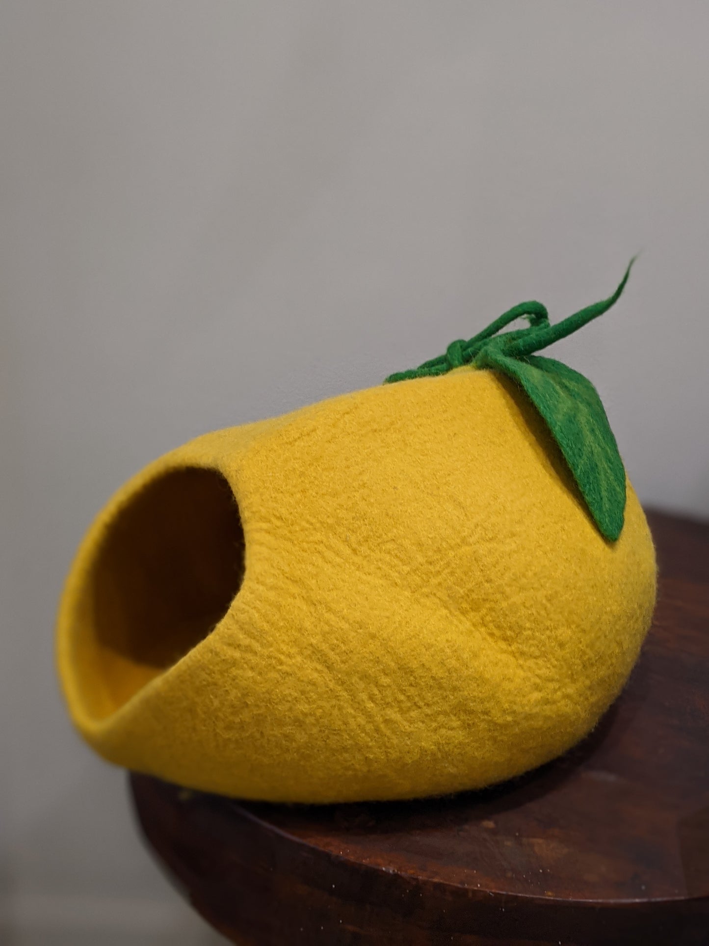 Cat Home- Lemon