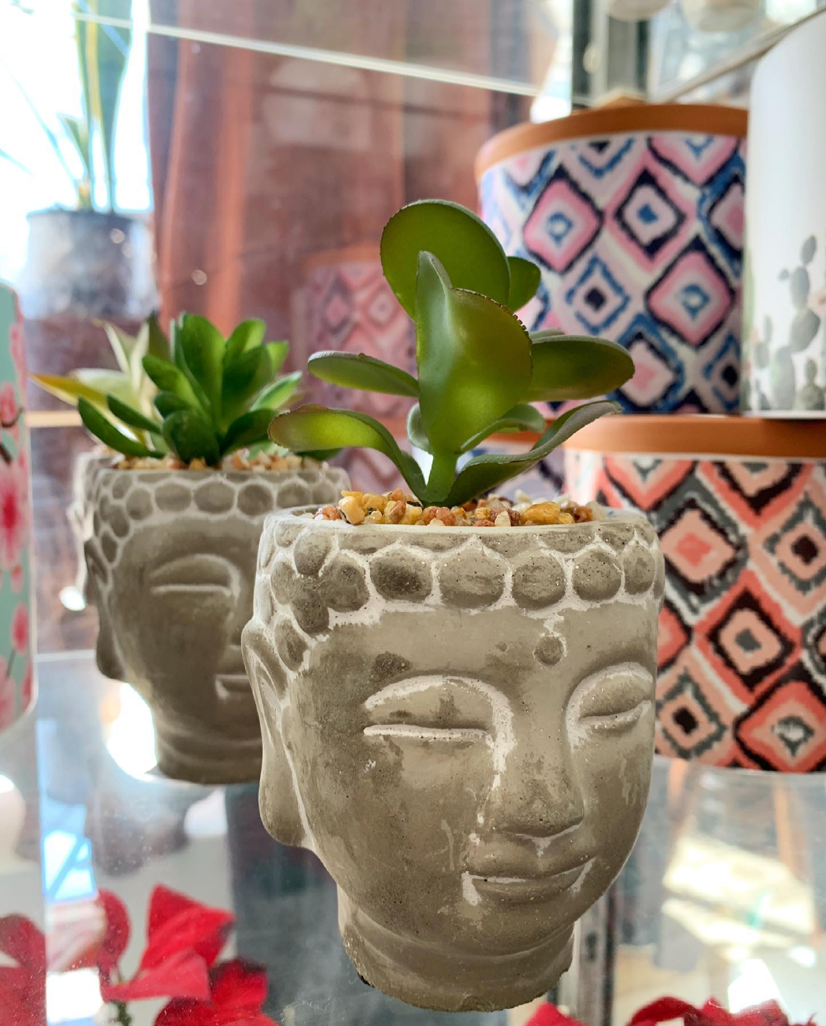 Succulent in Buddha Head Pot