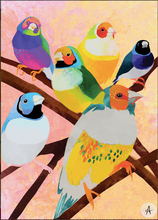 Bright Birds Cards