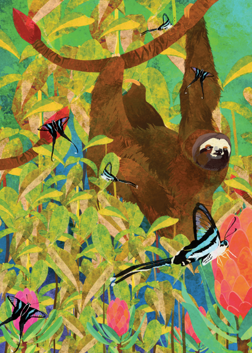 Sloth Jungle Card