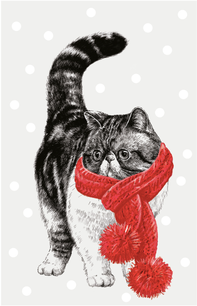 Winter Cat Card
