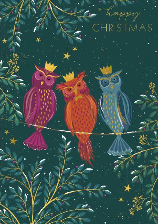 Happy Christmas Owls Card