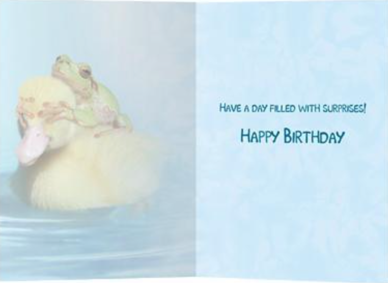 Duck Duck Frog Birthday Card