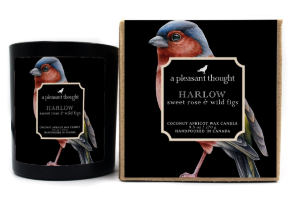 HARLOW | SWEET ROSE & WILD FIGS | RAVEN CANDLE